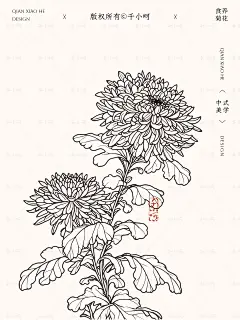 挨打也要分享的商用菊花插画素材合集 - 小红书