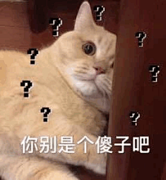 你别是个傻子吧？表情包_你别是个傻子吧？表情包下载_你别是个傻子吧？动态gif表情图-4399聊天表情包大全