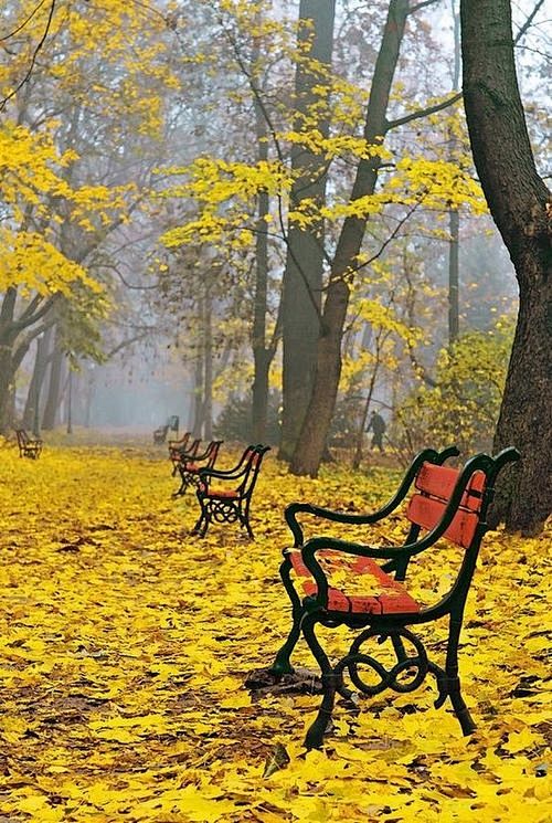 秋天的色彩 ，华沙，波兰 <br/>