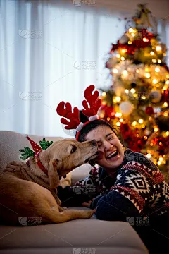 小狗戴着圣诞鹿角坐在家里的沙发上，舔着笑女孩的脸。快乐的年轻女人在圣诞树旁和黄狗庆祝节日