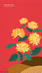 红色背景菊花凌霜傲岸不屈中国风插画 民俗民风 中国风