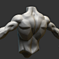 其中包括图片：Torso - Stylized anatomy study, Ozgur Bayindir