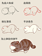 小猫咪系列06