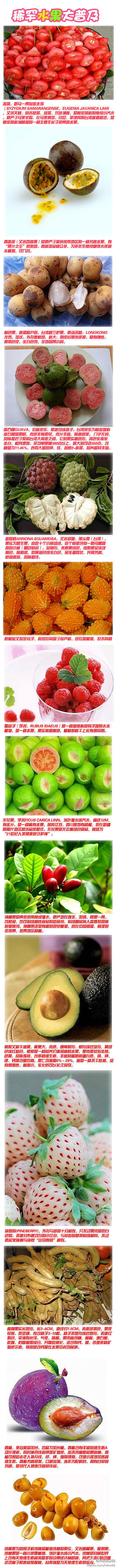 各种稀有水果名称大普及