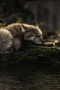 tect0nic:

Sleeping where the waters flow by Michael Rehbein via 500px.
