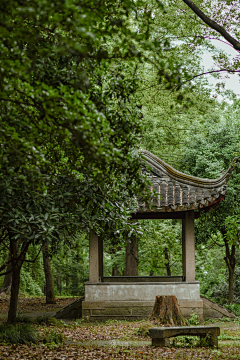 狐狐沫沫采集到古风场景参考