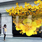 What an amazing window display design Apple Store opened in London!: 