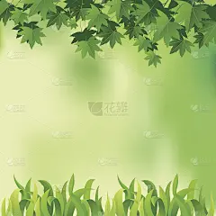 枫叶与草