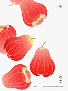 莲雾 - 小红书