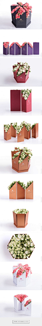 Coco Fiori by Backbone Branding. Source: World Packaging Design. Pin curated by…: 