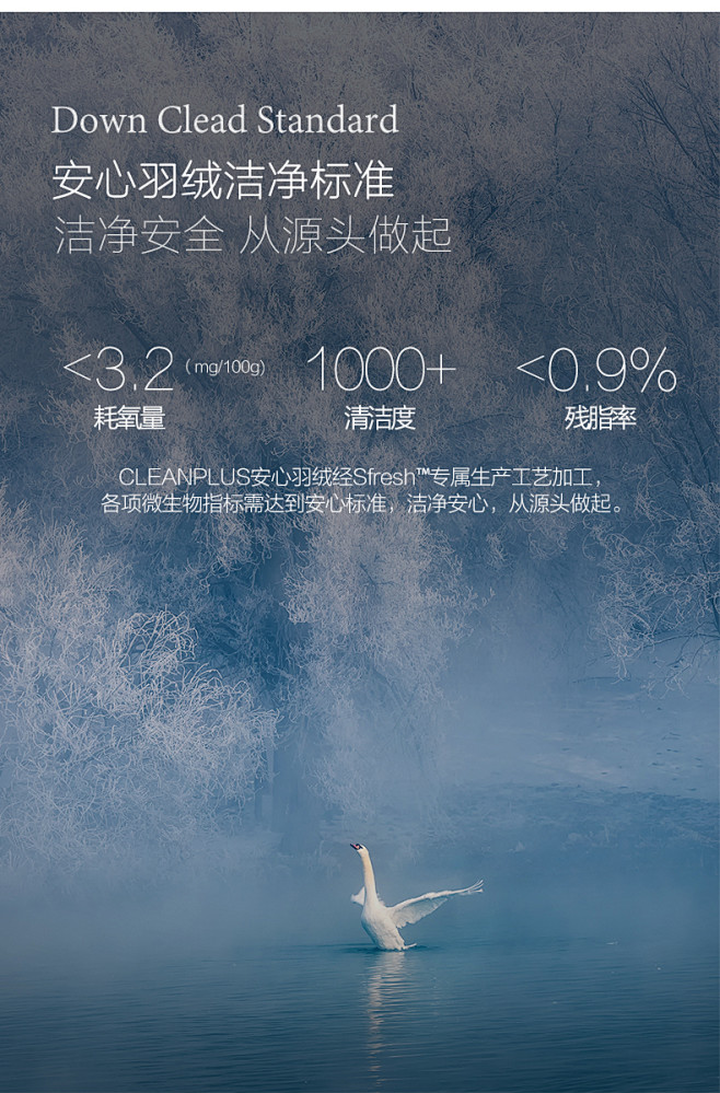 博洋家纺羽绒被95白鹅绒冬季被子欧式全棉...