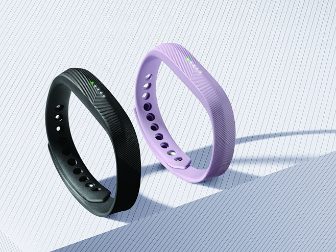 Fitbit Flex 2 : Lead...