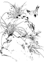 白描素材――兰竹