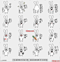 line贴图表情包韩国厚兔子|Korean thick rabbit 这是一只韩国厚兔子，|It is a Korean thick rabbit.@飞天胖虎