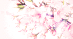 茶禾采集到GIF