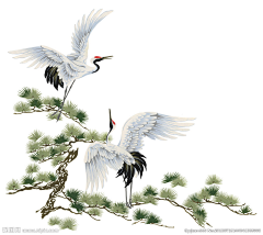 小莫言采集到底纹