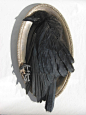 crow