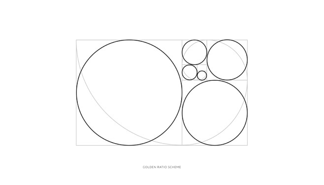 30 ANIMAL LOGOS CHAL...
