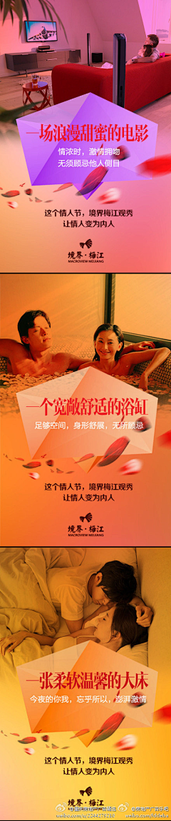 ediemonkey采集到地产
