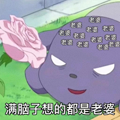高清大图收藏家采集到巴库老婆奴