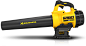 DEWALT 20v Blower : This was designed as part of a range of outdoor tools powered by DeWalt's 20v battery system.  It is the brands first axial blower.