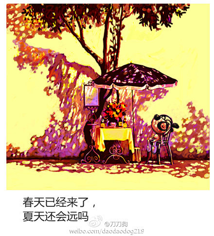 #刀刀看世界# 春天已经来了，夏天还会远...