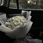 52acc2dd5e301babe3541c41179e95fbbc879c745f732-VUrydV_fw658
