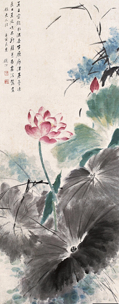 小倩咧采集到国画