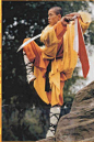 Tai Chi, Shaolin Monks, Shaolin Kung Fu, Kung Fu Martial Arts, Chinese Martial Arts, Art Of Fighting, Fighting Poses, Figure Poses, Martial Artists