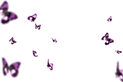 PC66336采集到蝴蝶素材