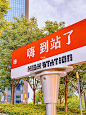 南京新晋潮人街区520玫瑰气球免费送啦
