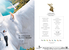 utopialy采集到地产广告