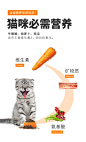 卫仕猫粮5.4KG全阶段无谷1.8kg*3成猫幼猫奶糕全价猫粮增肥发腮-tmall.com天猫