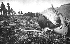 SolaSisyphe采集到Sebastião Salgado