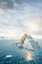 北极熊 环境保护 自然和谐 公益海报设计PSD北极熊|环境保护|自然|和谐|公益海报