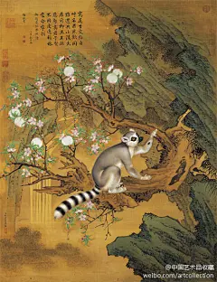 中国艺术品收藏#新体画#【 清 郎世宁 《画交趾果然》 】这幅画是郎世宁绘制于乾隆二十六年，画的是一只进贡到宫中的环尾狐猴，这种狐猴产于非洲马达加斯加岛。但是，画上乾隆却在题字中指称其为来自交趾（今越南）的果然兽。此图现藏于台北故宫博物院。