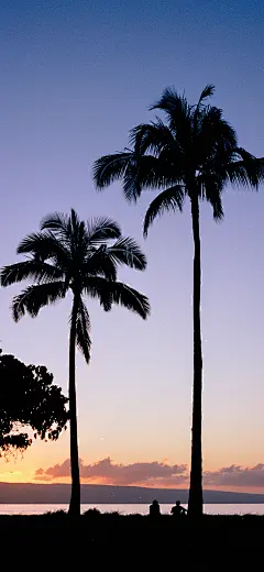 海边 风景 手机壁纸