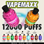 VAPEMAXX  12000 Puff