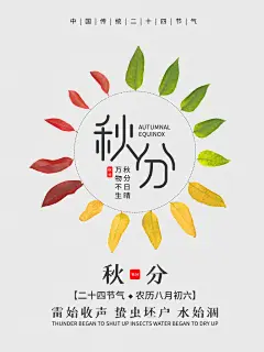 创意大气秋分节气海报设计