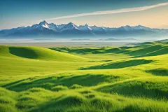 草坪大自然摄影图