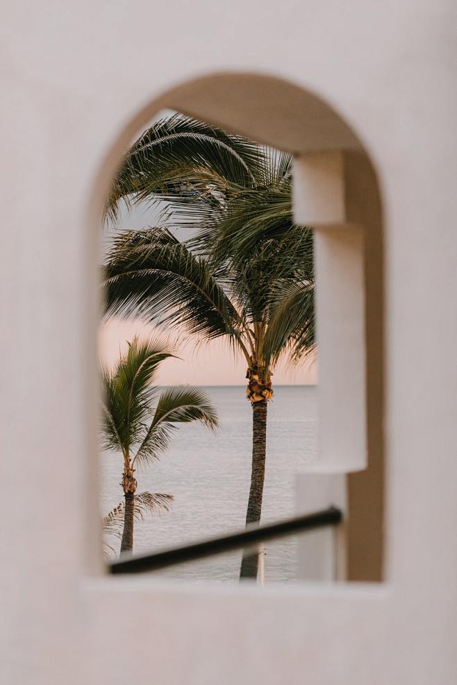 green palm tree near...