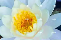 水 背景 免费壁纸 4K壁纸 美丽的 桌面背景 Mac壁纸