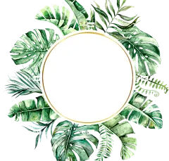 树叶 花圈 框架 边界 圆圈 水色 瑞士芝士 花壁纸 工厂