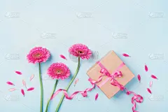 贺卡,生日,母亲节,女人,桌子,蓝色,春天,包装纸,粉色,花