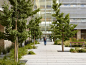 UCSF Cardiovascular Research Building by Andrea Cochran Landscape Architecture , via Behance