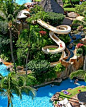 Paradise!!! (Westin Maui Resort & Spa Vacations, Maui Hawaii)...