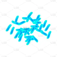 乳酸菌。益 生 菌。植物乳杆菌。信息图表向量例证在查出的背景