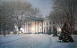 America's home, rod chase, painting, christmas tree, evening, lightening, snow, winter