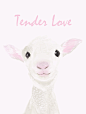 tenderness #卡通# #PS# #治愈系# #可爱# #插图#