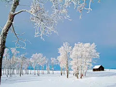 冬雪11895_冬雪系列_风景风光类_图库壁纸_联盟素材